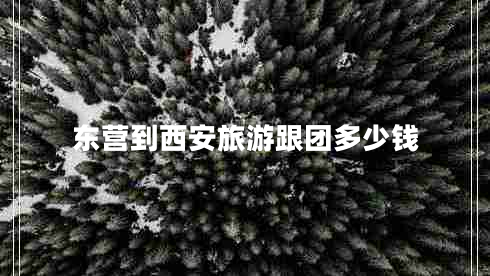 東營(yíng)到西安旅游跟團多少錢(qián)