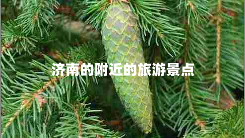 濟(jì)南的附近的旅游景點