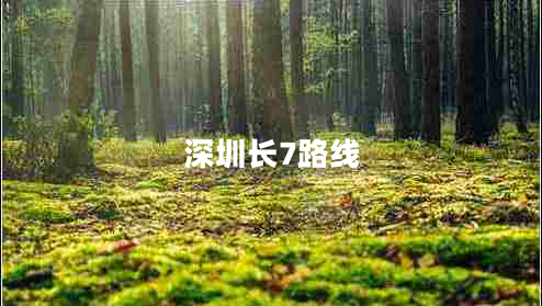 深圳長(cháng)7路線(xiàn)