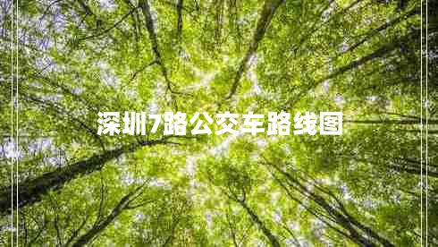 深圳7路公交車(chē)路線(xiàn)圖