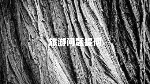 旅游問(wèn)題提問(wèn)