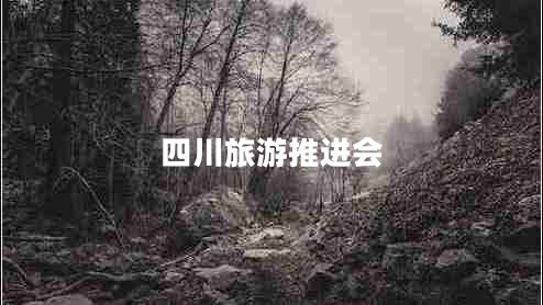 四川旅游推進(jìn)會(huì )