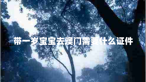 帶一歲寶寶去澳門(mén)需要什么證件