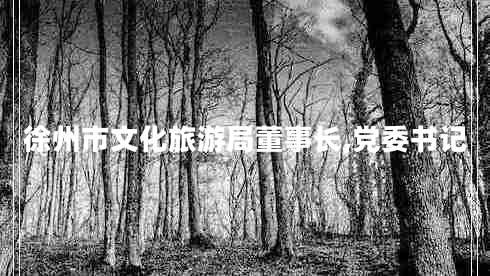 徐州市文化旅游局董事長(cháng),黨委書(shū)記