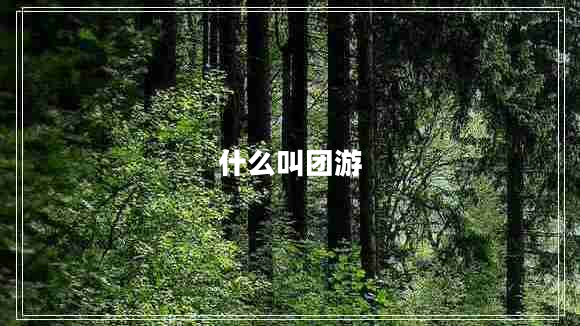 什么叫團游