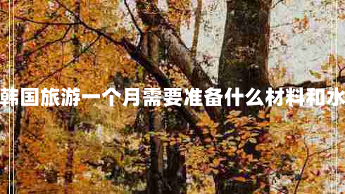 去韓國旅游一個(gè)月需要準備什么材料和水果