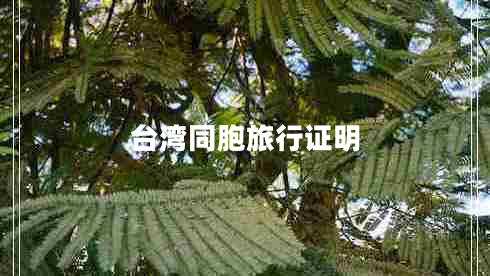 臺灣同胞旅行證明
