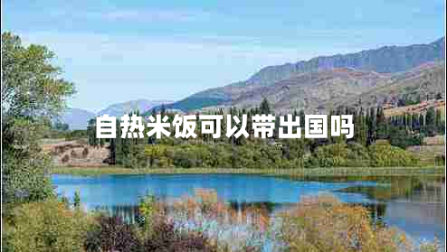 自熱米飯可以帶出國嗎