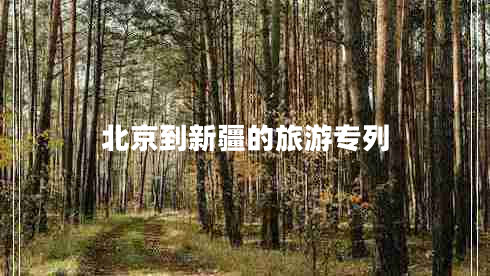 北京到新疆的旅游專(zhuān)列
