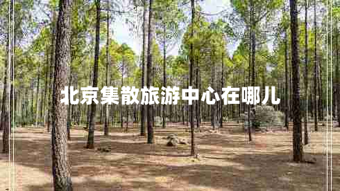 北京集散旅游中心在哪兒