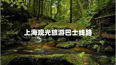 上海觀(guān)光旅游巴士線(xiàn)路