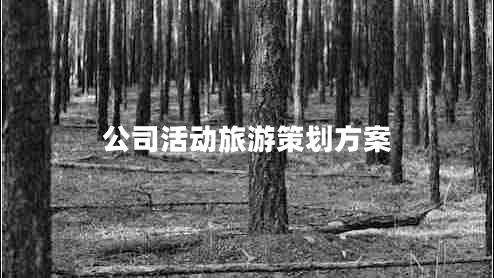 公司活動(dòng)旅游策劃方案