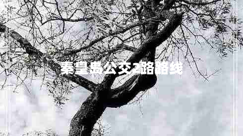 秦皇島公交2路路線(xiàn)
