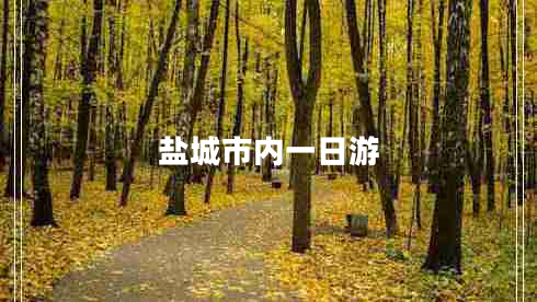 鹽城市內一日游