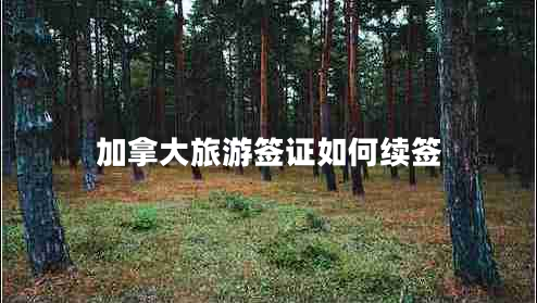 加拿大旅游簽證如何續簽