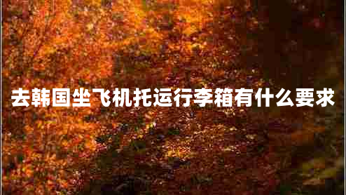 去韓國坐飛機托運行李箱有什么要求