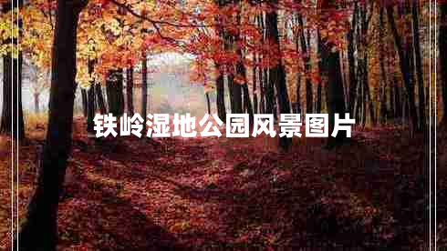 鐵嶺濕地公園風(fēng)景圖片