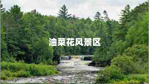 油菜花風(fēng)景區