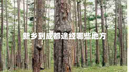 新鄉到成都途經(jīng)哪些地方