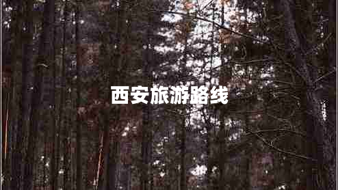 西安旅游路線(xiàn)