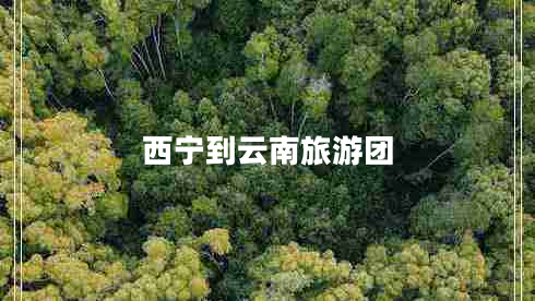 西寧到云南旅游團