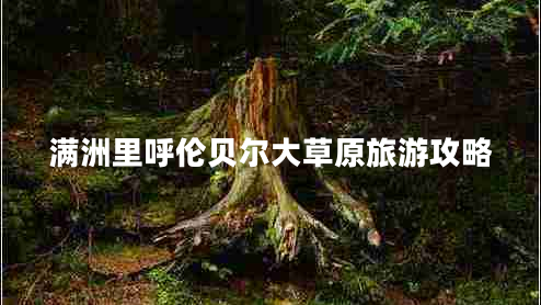 滿(mǎn)洲里呼倫貝爾大草原旅游攻略