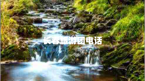 長(cháng)春旅游團電話(huà)