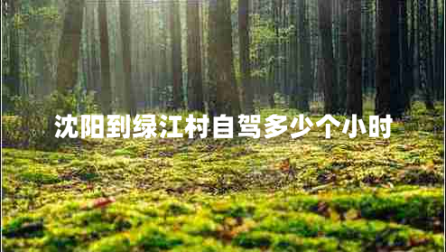 沈陽(yáng)到綠江村自駕多少個(gè)小時(shí)