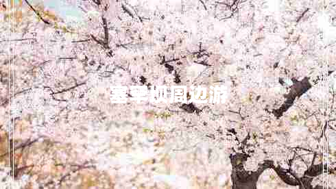 塞罕壩周邊游