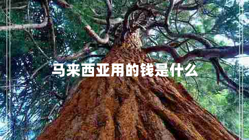 馬來(lái)西亞用的錢(qián)是什么