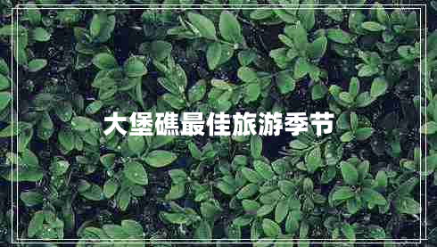 大堡礁最佳旅游季節