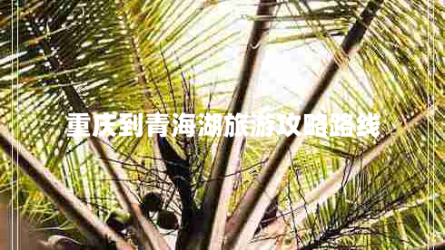 重慶到青海湖旅游攻略路線(xiàn)