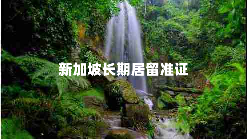 新加坡長(cháng)期居留準證