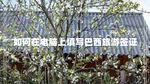 如何在電腦上填寫(xiě)巴西旅游簽證