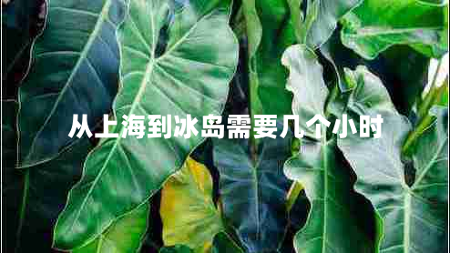 從上海到冰島需要幾個(gè)小時(shí)