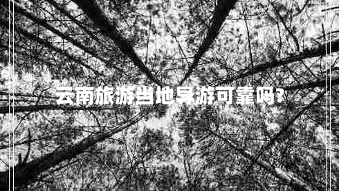 云南旅游當地導游可靠嗎?