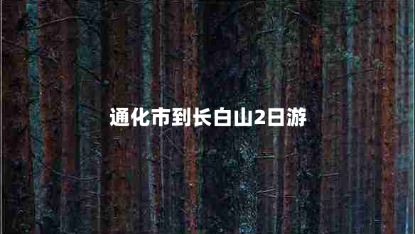 通化市到長(cháng)白山2日游