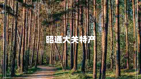 昭通大關(guān)特產(chǎn)