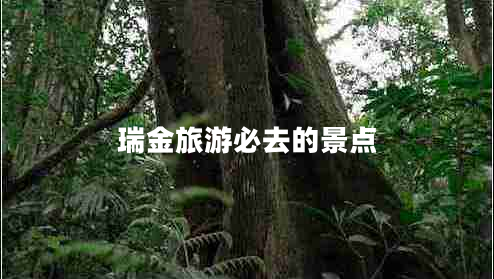 瑞金旅游必去的景點(diǎn)
