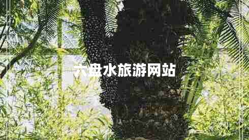 六盤(pán)水旅游網(wǎng)站