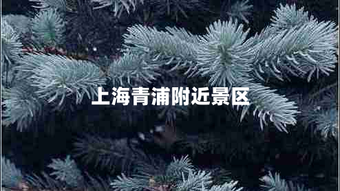 上海青浦附近景區