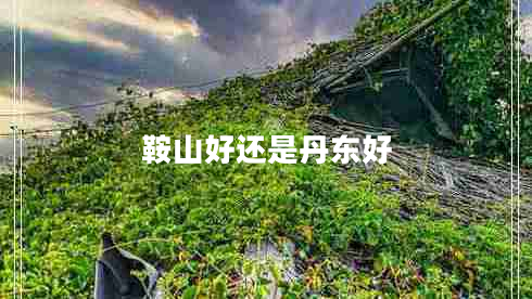 鞍山好還是丹東好