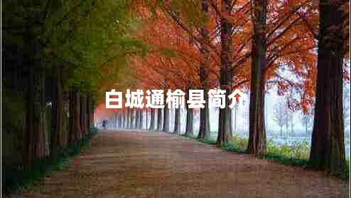 白城通榆縣簡(jiǎn)介