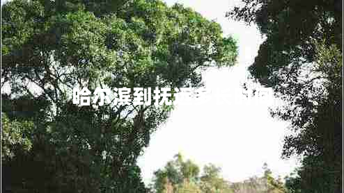 哈爾濱到撫遠多長(cháng)時(shí)間