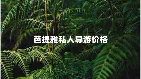 芭提雅私人導游價(jià)格