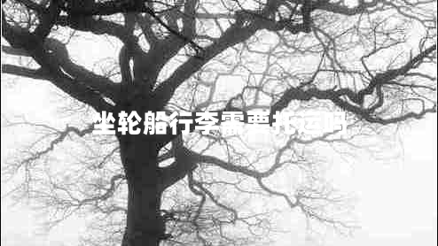 坐輪船行李需要托運嗎