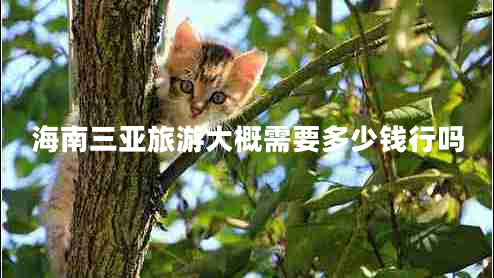 海南三亞旅游大概需要多少錢(qián)行嗎