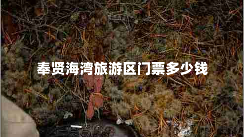 奉賢海灣旅游區門(mén)票多少錢(qián)