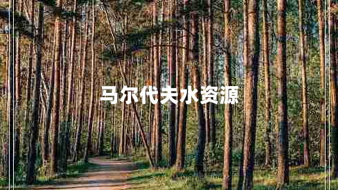 馬爾代夫水資源