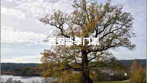 西安淡季門(mén)票